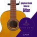 Epiphon Klasik Natural Gitar